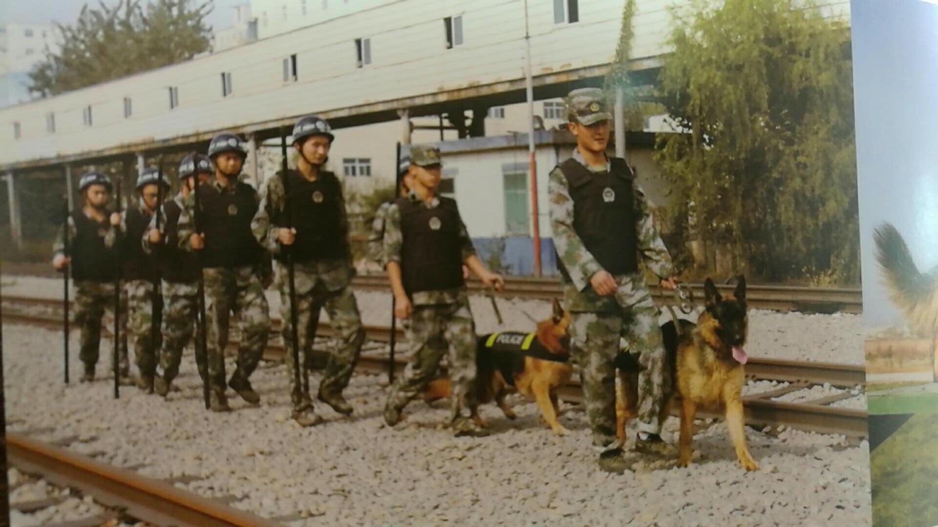 https://pic.kuaizhan.com/g3/31/ed/acbf-f307-4a1c-968e-4dce57b672c030